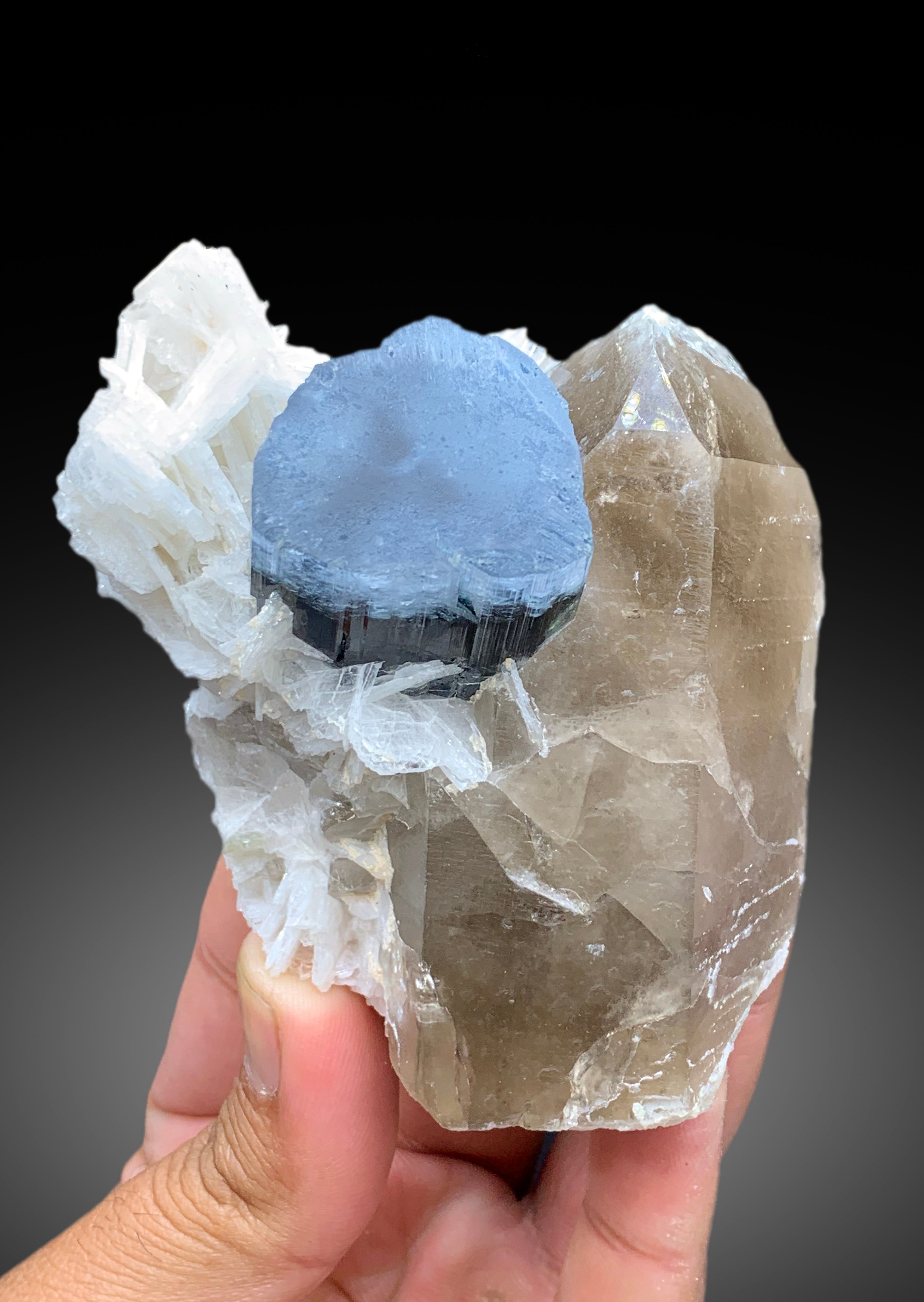 Natural Blue Cap Tourmaline Crystal with Smoky Quartz and Cleavelandite Albite from Paprok Afghanistan - 387 gram