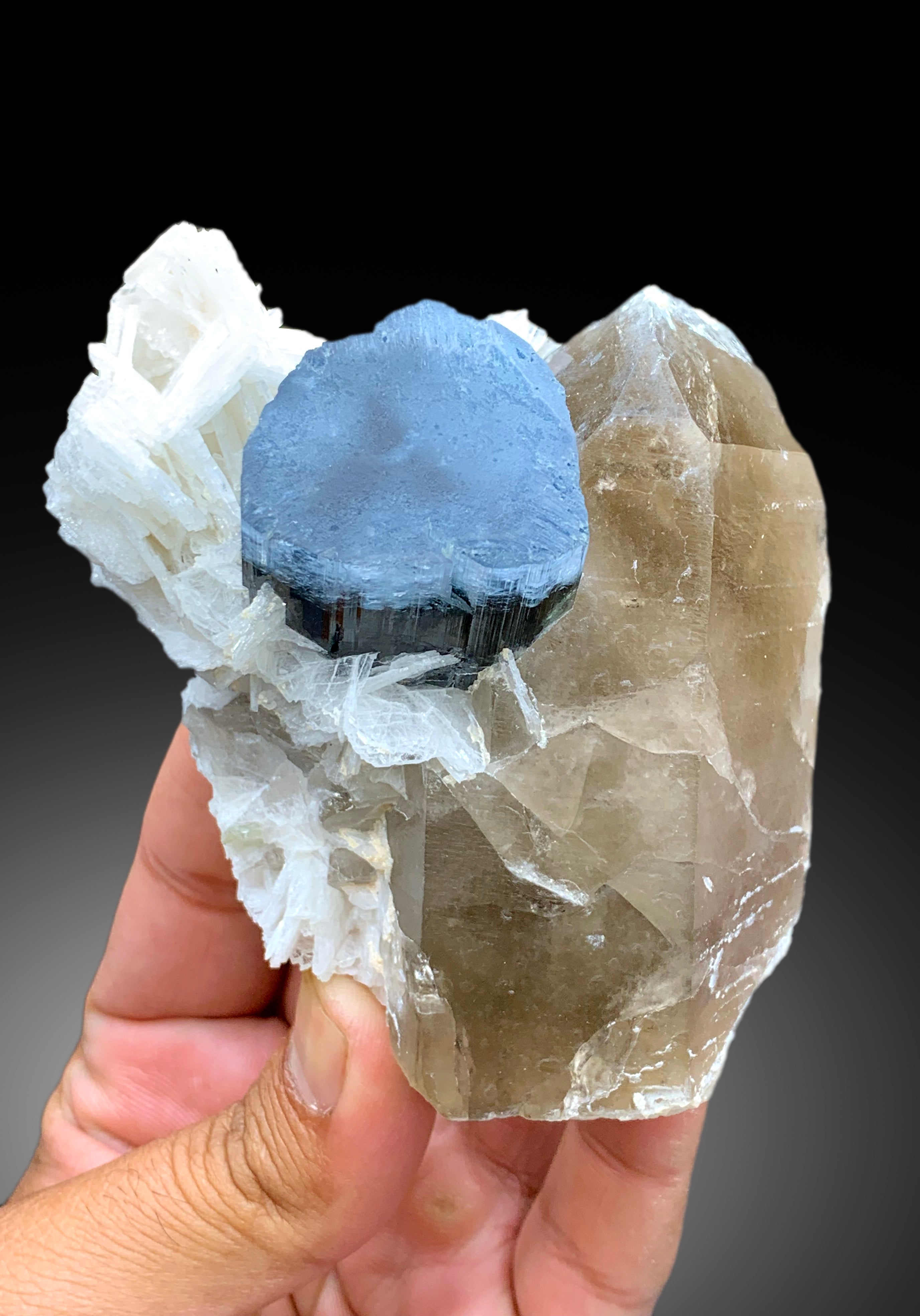 Natural Blue Cap Tourmaline Crystal with Smoky Quartz and Cleavelandite Albite from Paprok Afghanistan - 387 gram