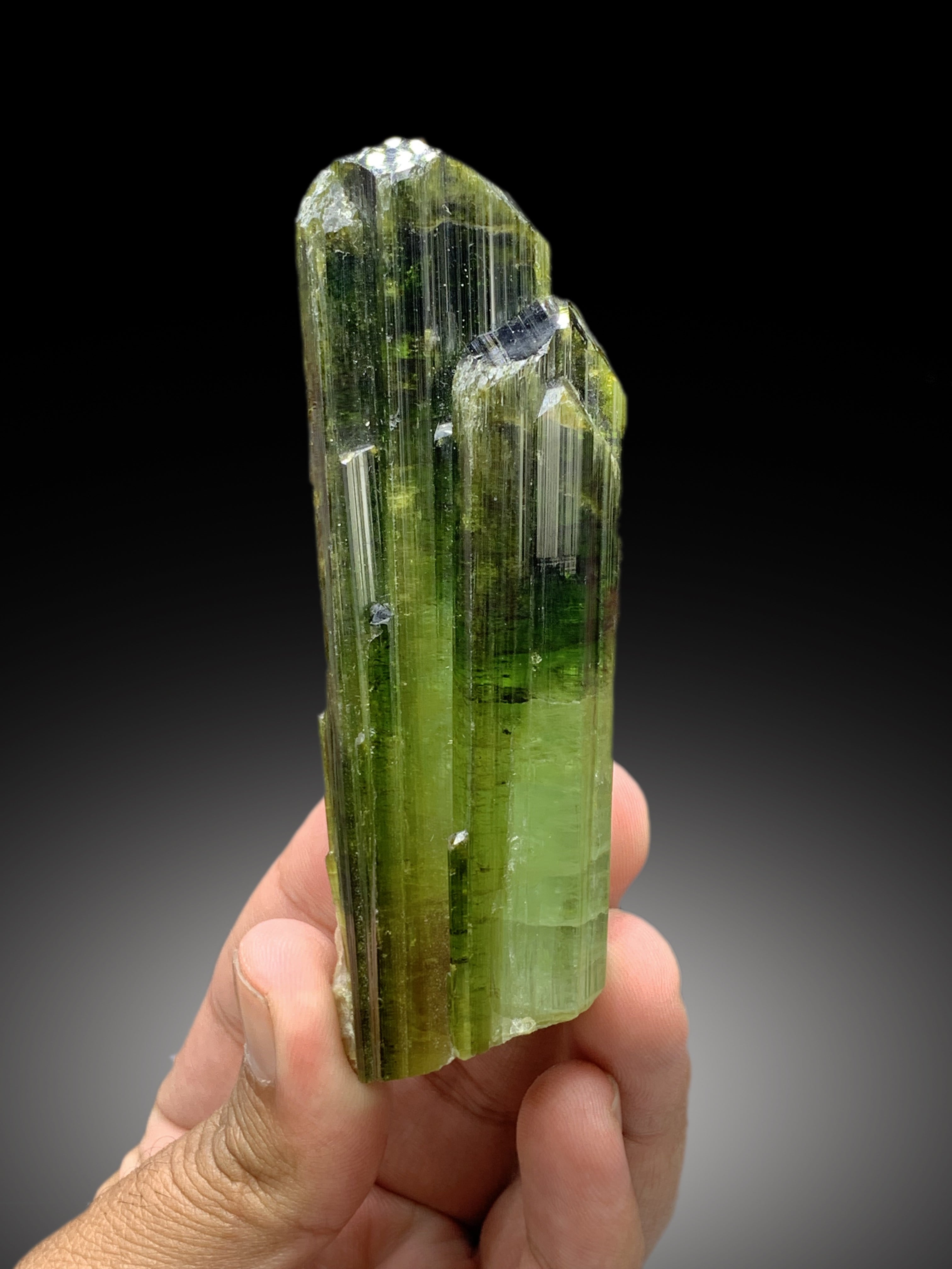 Exceptional Green Color Tourmaline Crystal from Afghanistan - 158 gram