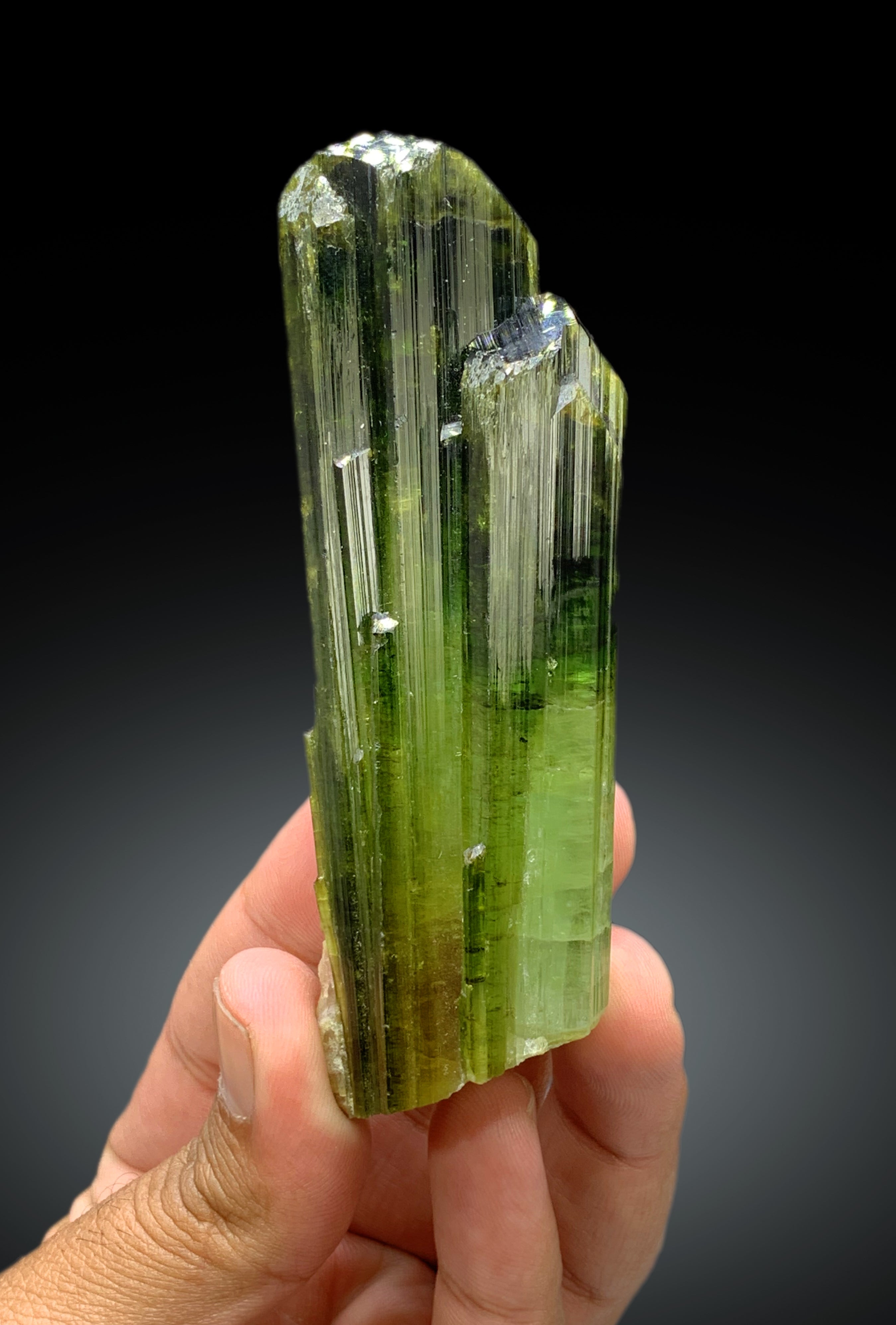 Exceptional Green Color Tourmaline Crystal from Afghanistan - 158 gram