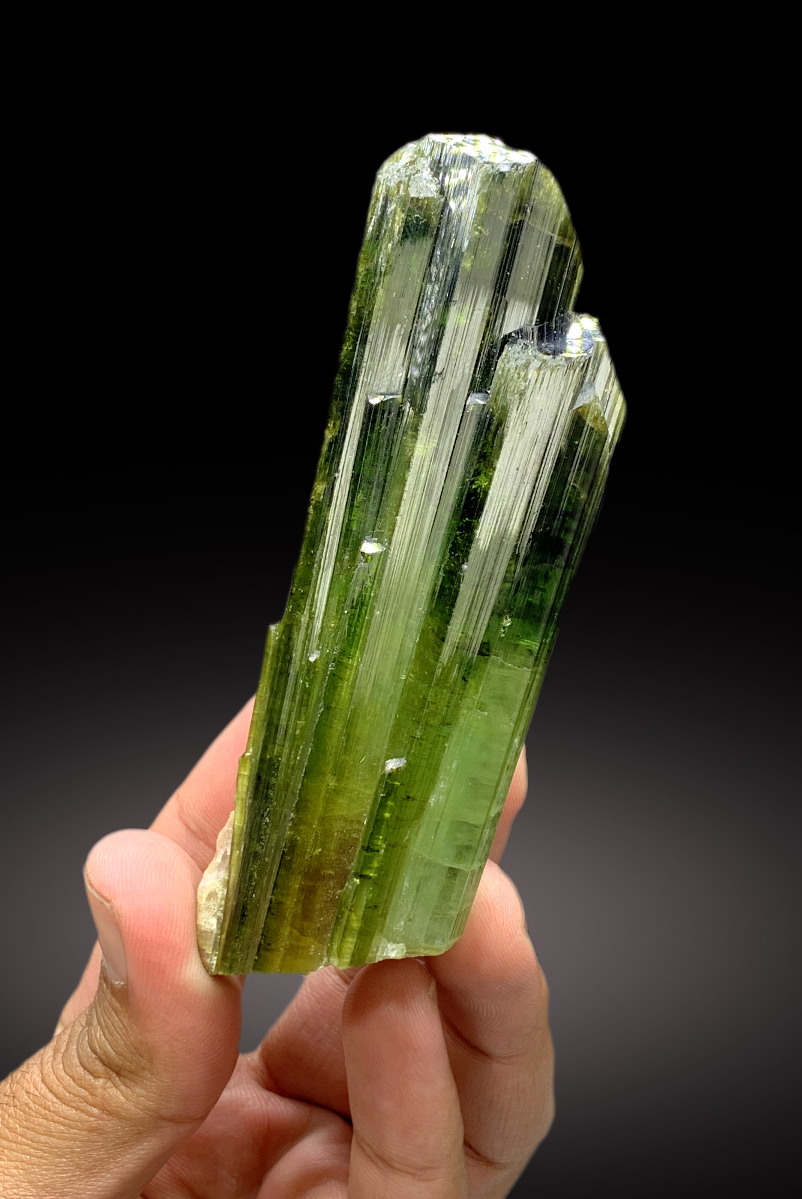 Exceptional Green Color Tourmaline Crystal from Afghanistan - 158 gram