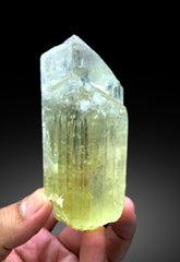 Twinned Yellow Triphane Kunzite Crystal from Nuristan Afghanistan - 278 gram