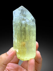 Twinned Yellow Triphane Kunzite Crystal from Nuristan Afghanistan - 278 gram