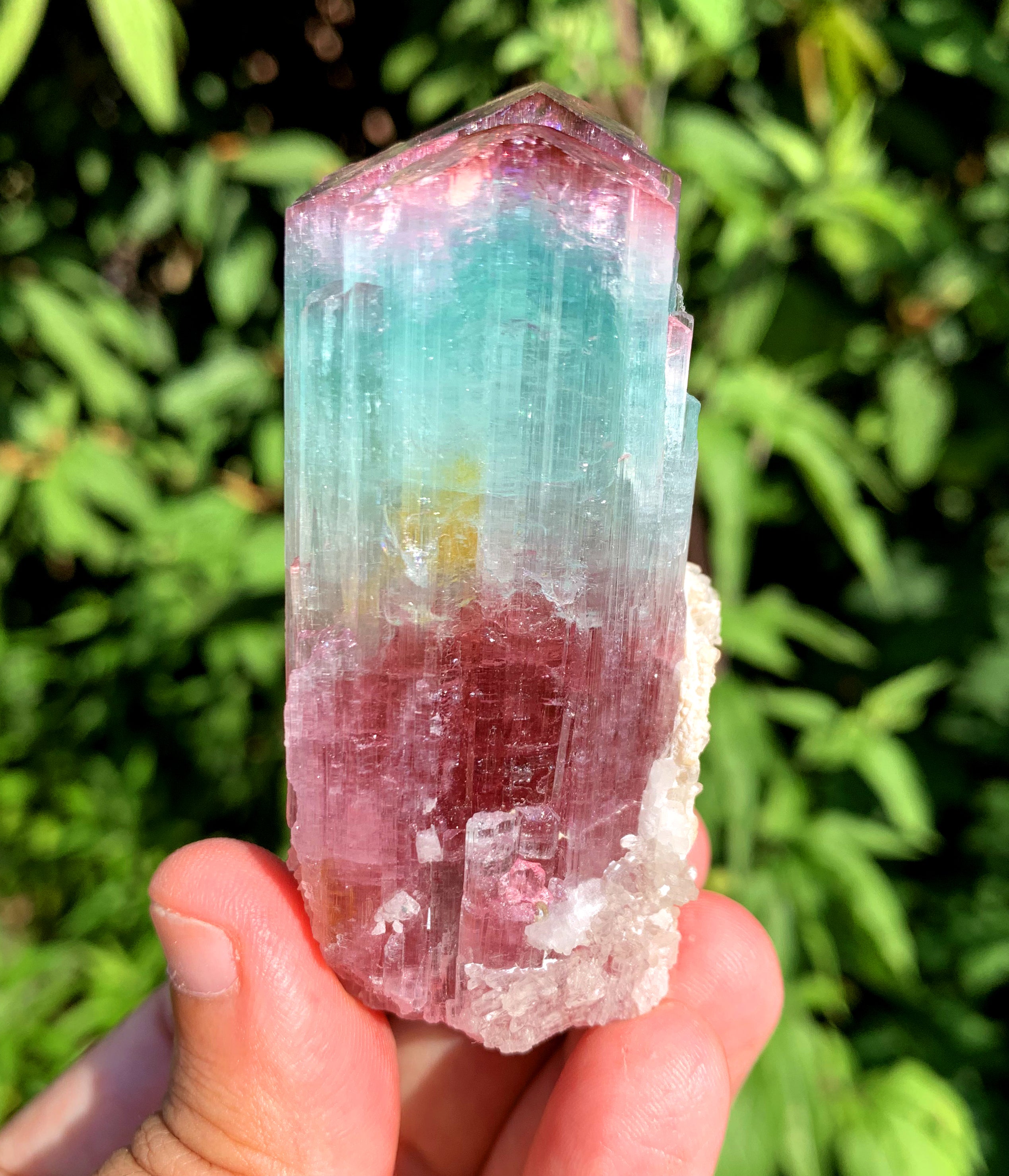 Natural Bicolor Tourmaline Crystal from Paprok Afghanistan - 128 gram