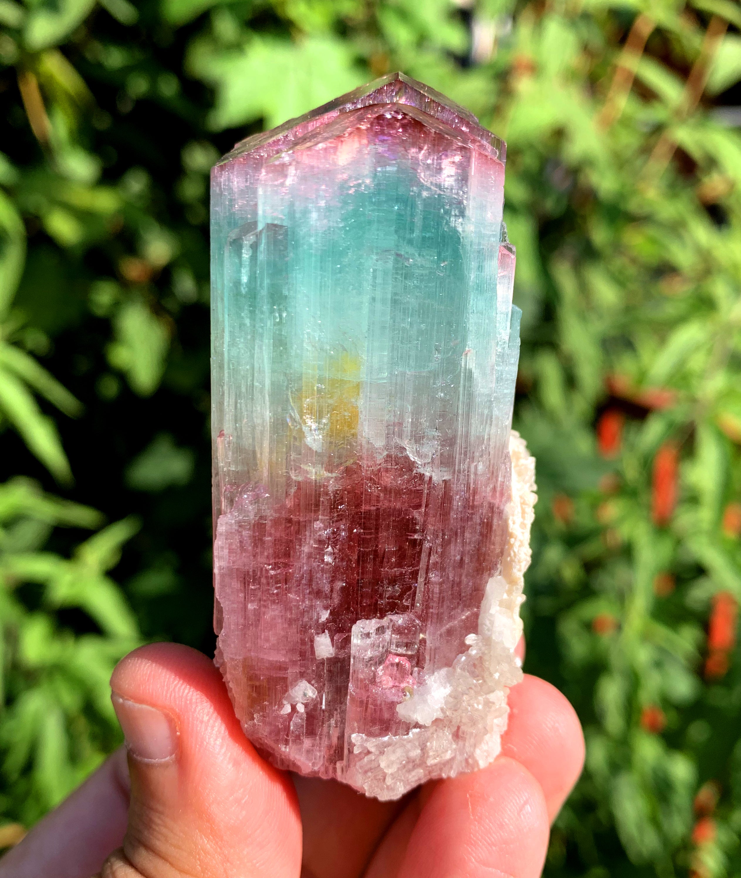 Natural Bicolor Tourmaline Crystal from Paprok Afghanistan - 128 gram