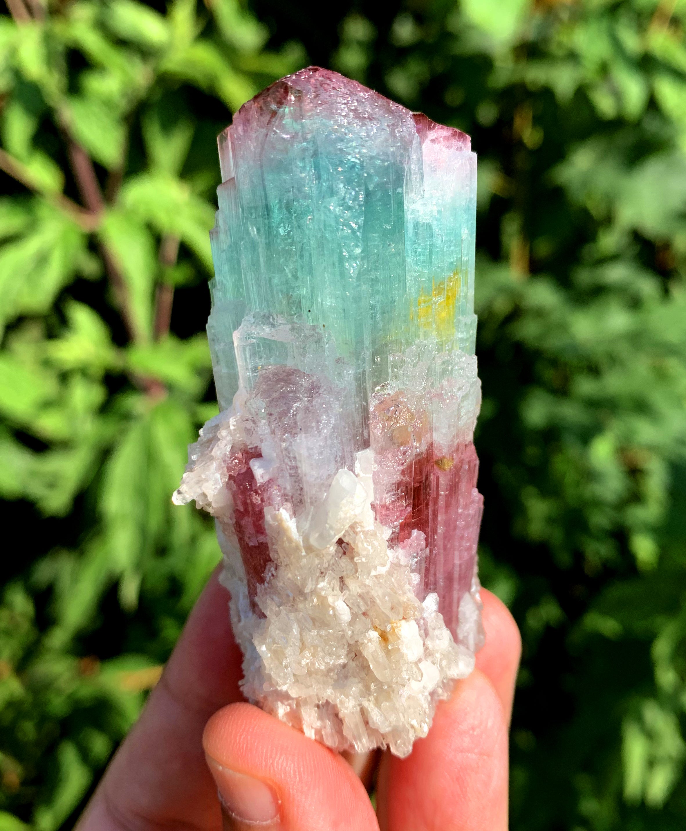 Natural Bicolor Tourmaline Crystal from Paprok Afghanistan - 128 gram