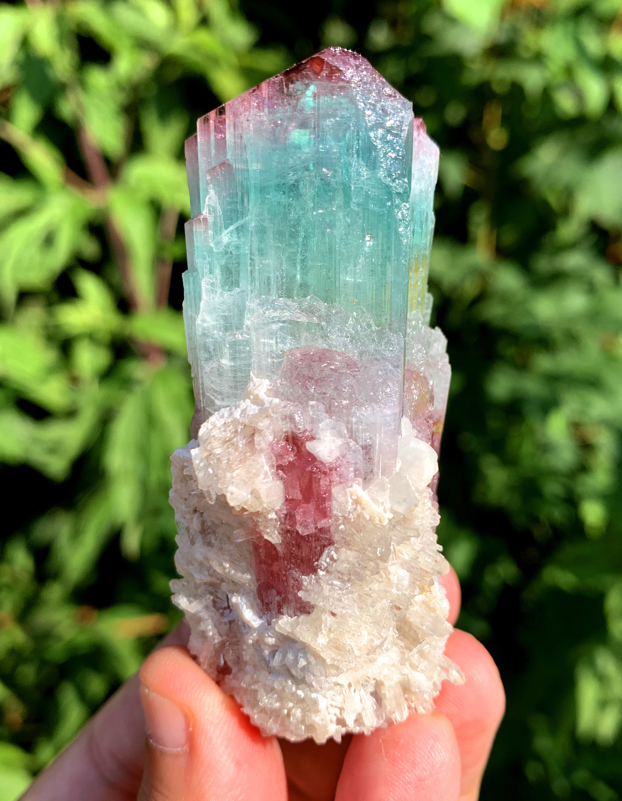 Natural Bicolor Tourmaline Crystal from Paprok Afghanistan - 128 gram