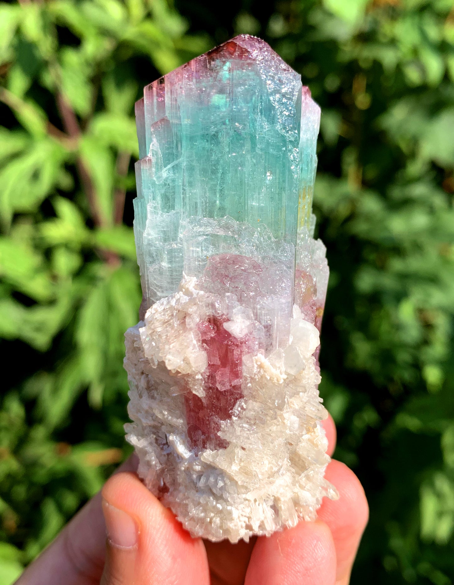 Natural Bicolor Tourmaline Crystal from Paprok Afghanistan - 128 gram