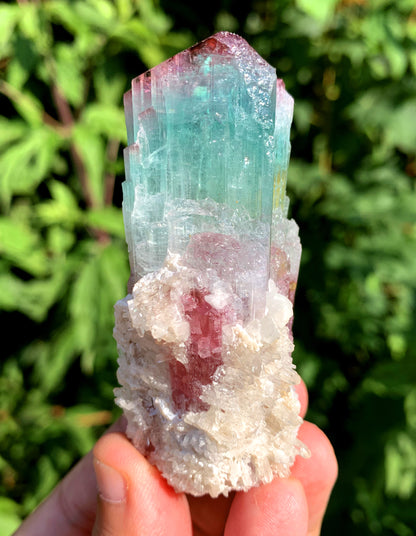 Natural Bicolor Tourmaline Crystal from Paprok Afghanistan - 128 gram