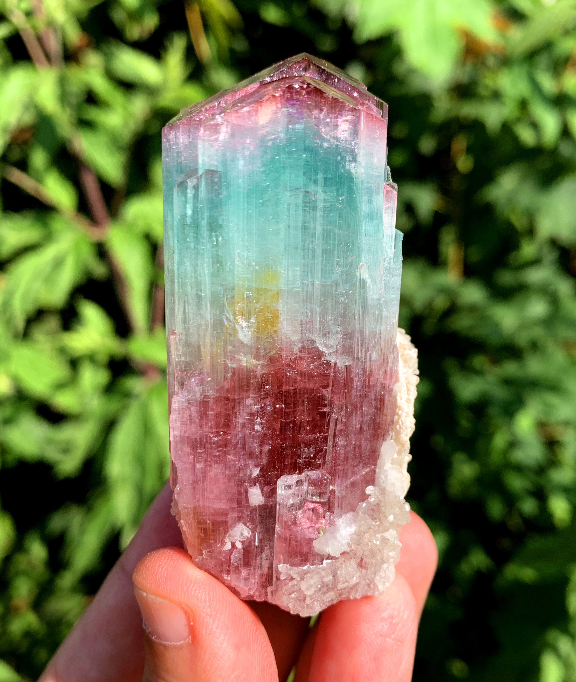 Natural Bicolor Tourmaline Crystal from Paprok Afghanistan - 128 gram