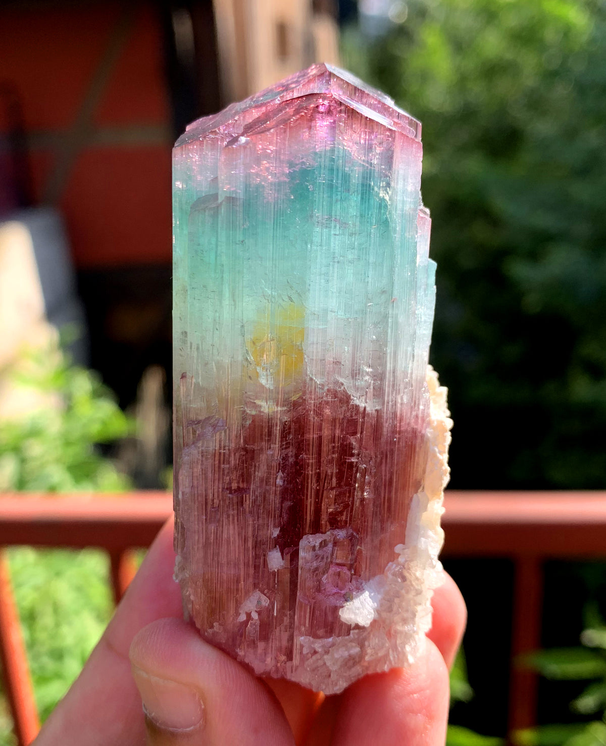 Natural Bicolor Tourmaline Crystal from Paprok Afghanistan - 128 gram