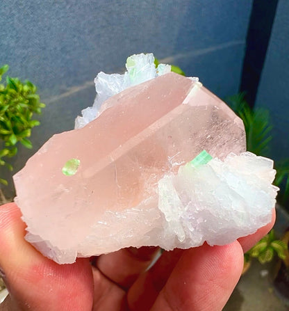 Peach Pink Morganite with Tourmaline and Albite from Afghanistan - 74 Grams
