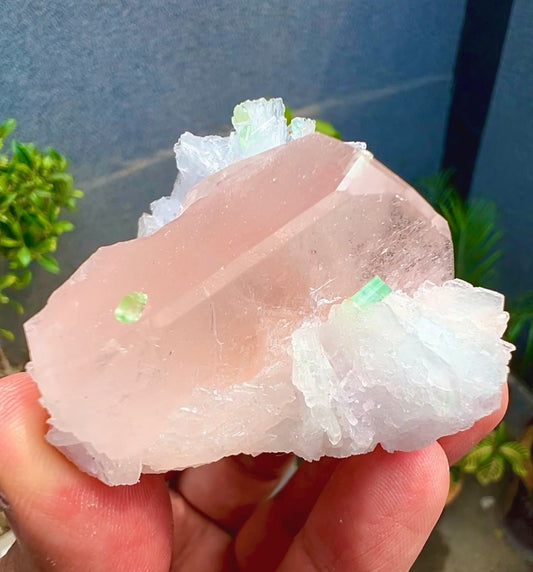 Peach Pink Morganite with Tourmaline and Albite from Afghanistan - 74 Grams