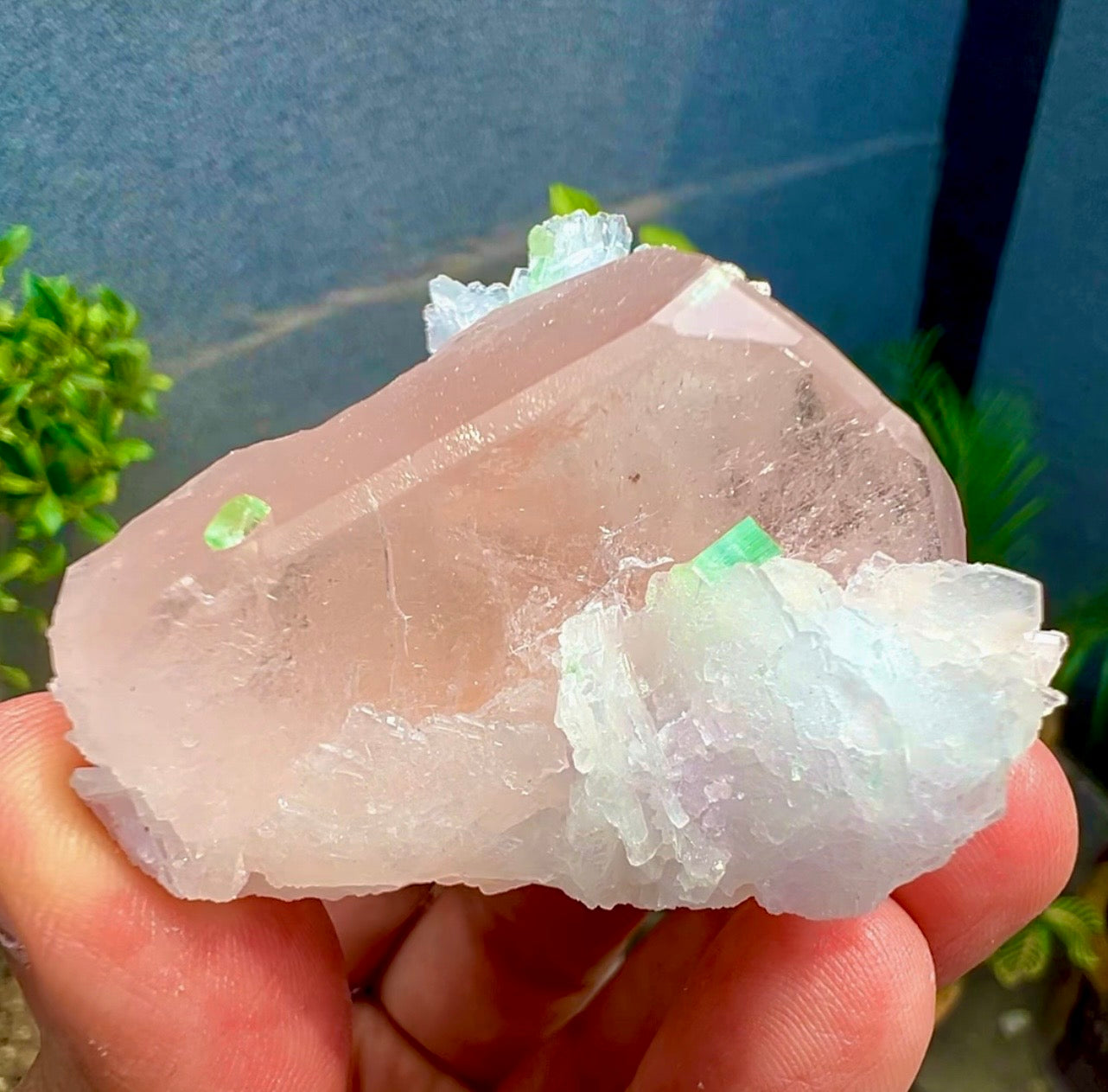 Peach Pink Morganite with Tourmaline and Albite from Afghanistan - 74 Grams