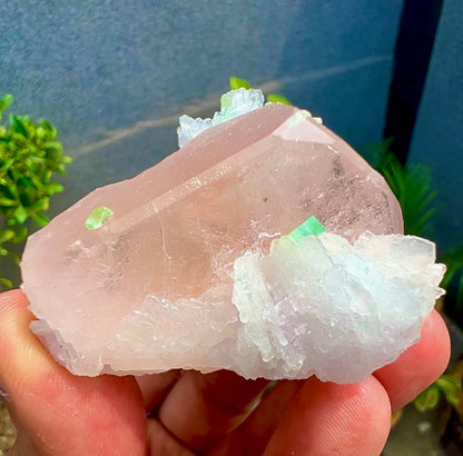 Peach Pink Morganite with Tourmaline and Albite from Afghanistan - 74 Grams