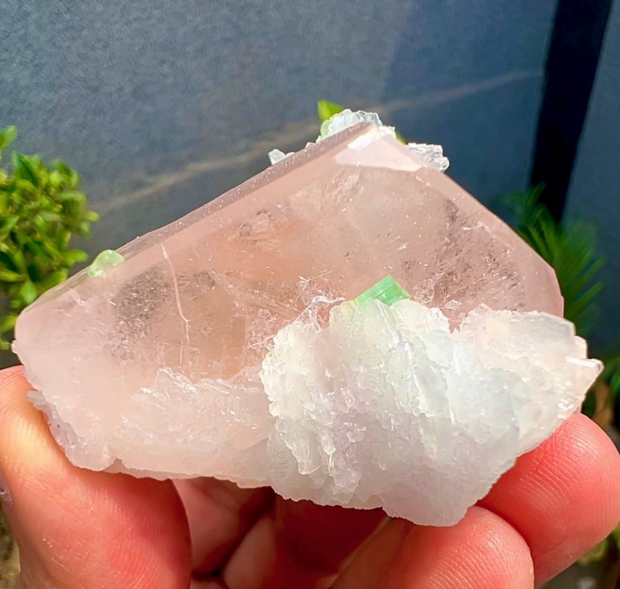 Peach Pink Morganite with Tourmaline and Albite from Afghanistan - 74 Grams