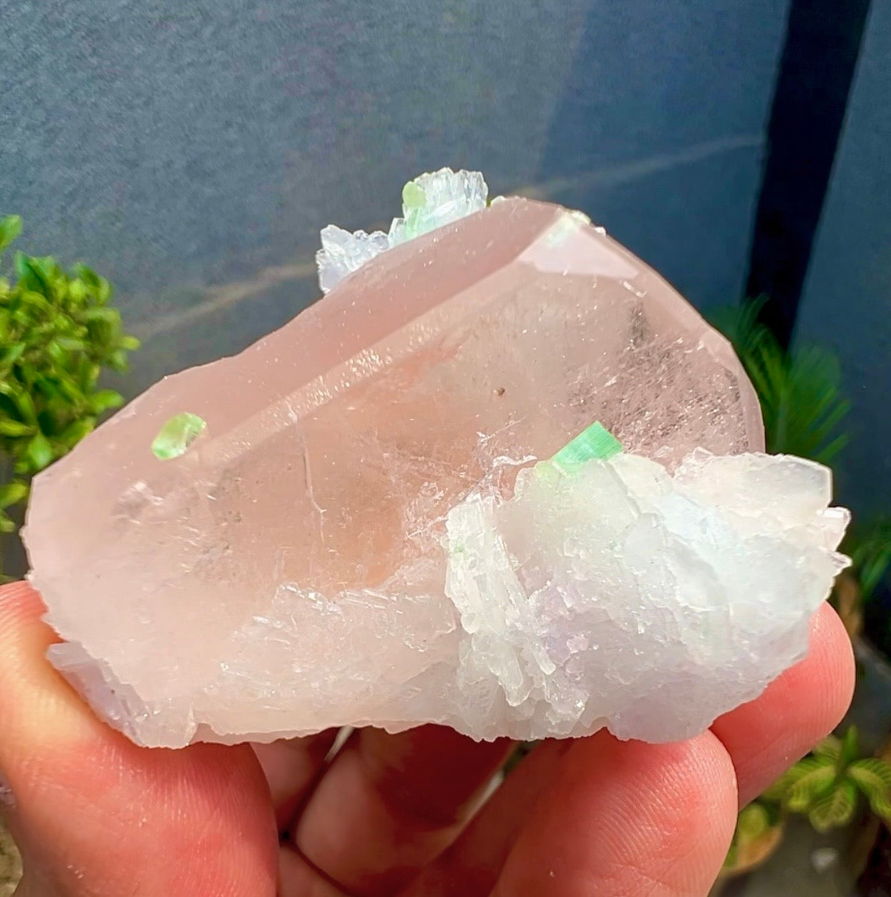 Peach Pink Morganite with Tourmaline and Albite from Afghanistan - 74 Grams