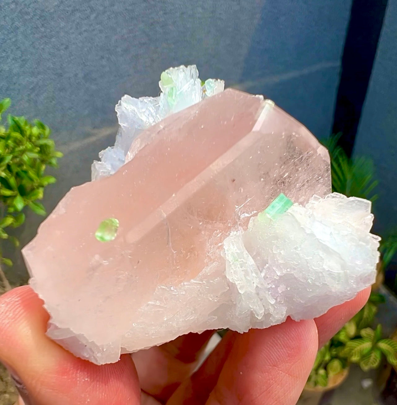 Peach Pink Morganite with Tourmaline and Albite from Afghanistan - 74 Grams