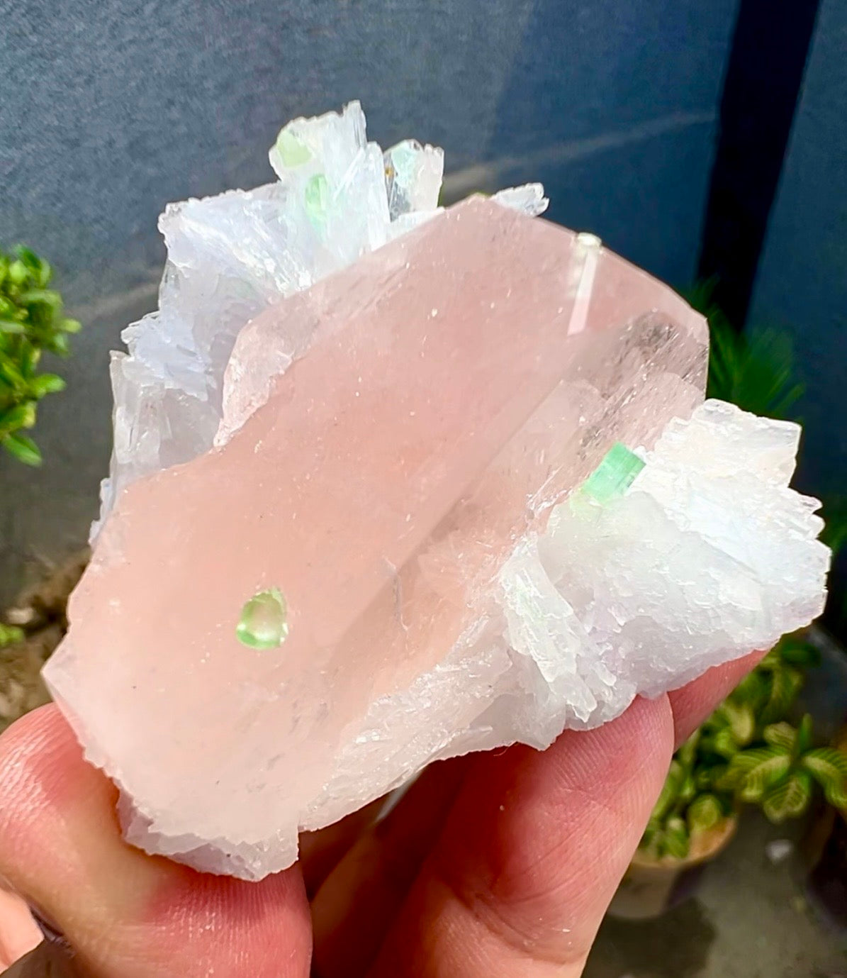 Peach Pink Morganite with Tourmaline and Albite from Afghanistan - 74 Grams