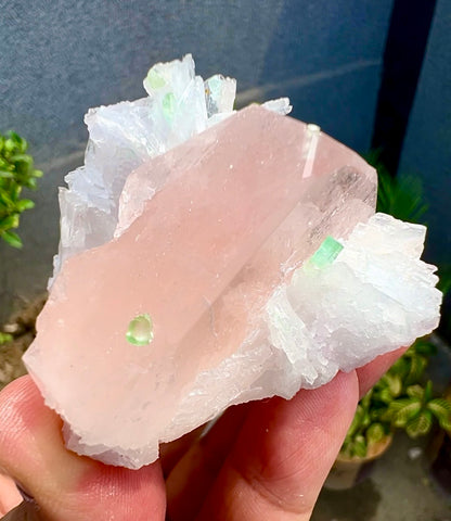 Peach Pink Morganite with Tourmaline and Albite from Afghanistan - 74 Grams