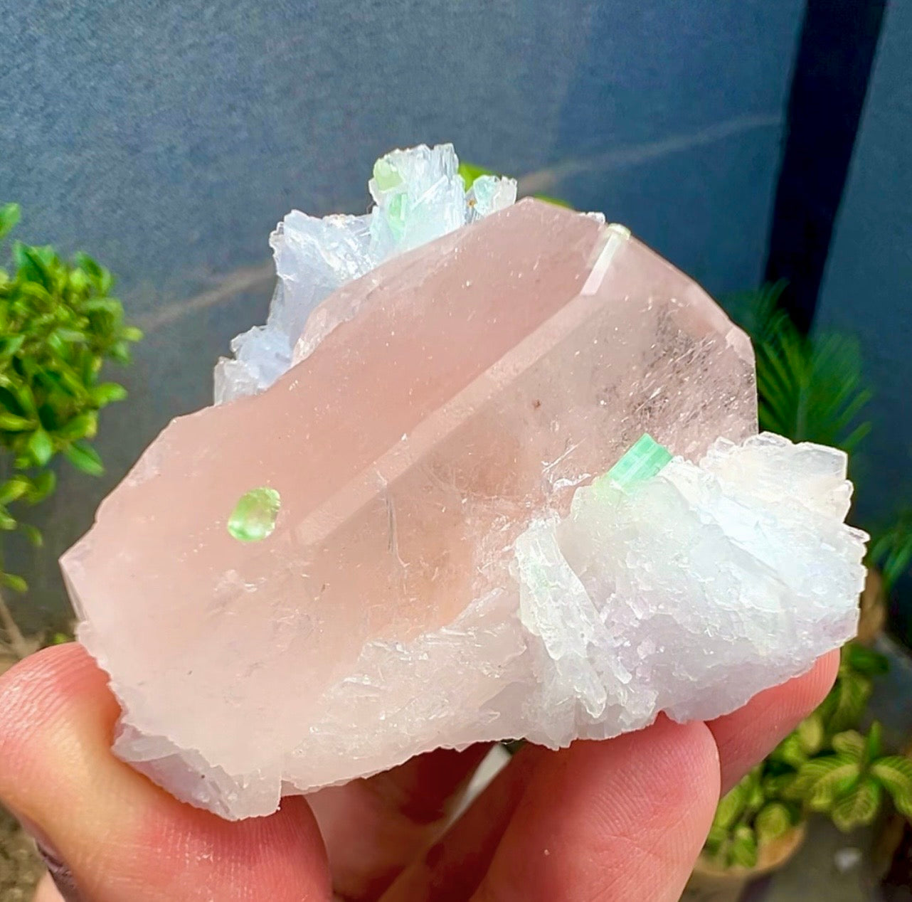 Peach Pink Morganite with Tourmaline and Albite from Afghanistan - 74 Grams
