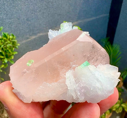 Peach Pink Morganite with Tourmaline and Albite from Afghanistan - 74 Grams