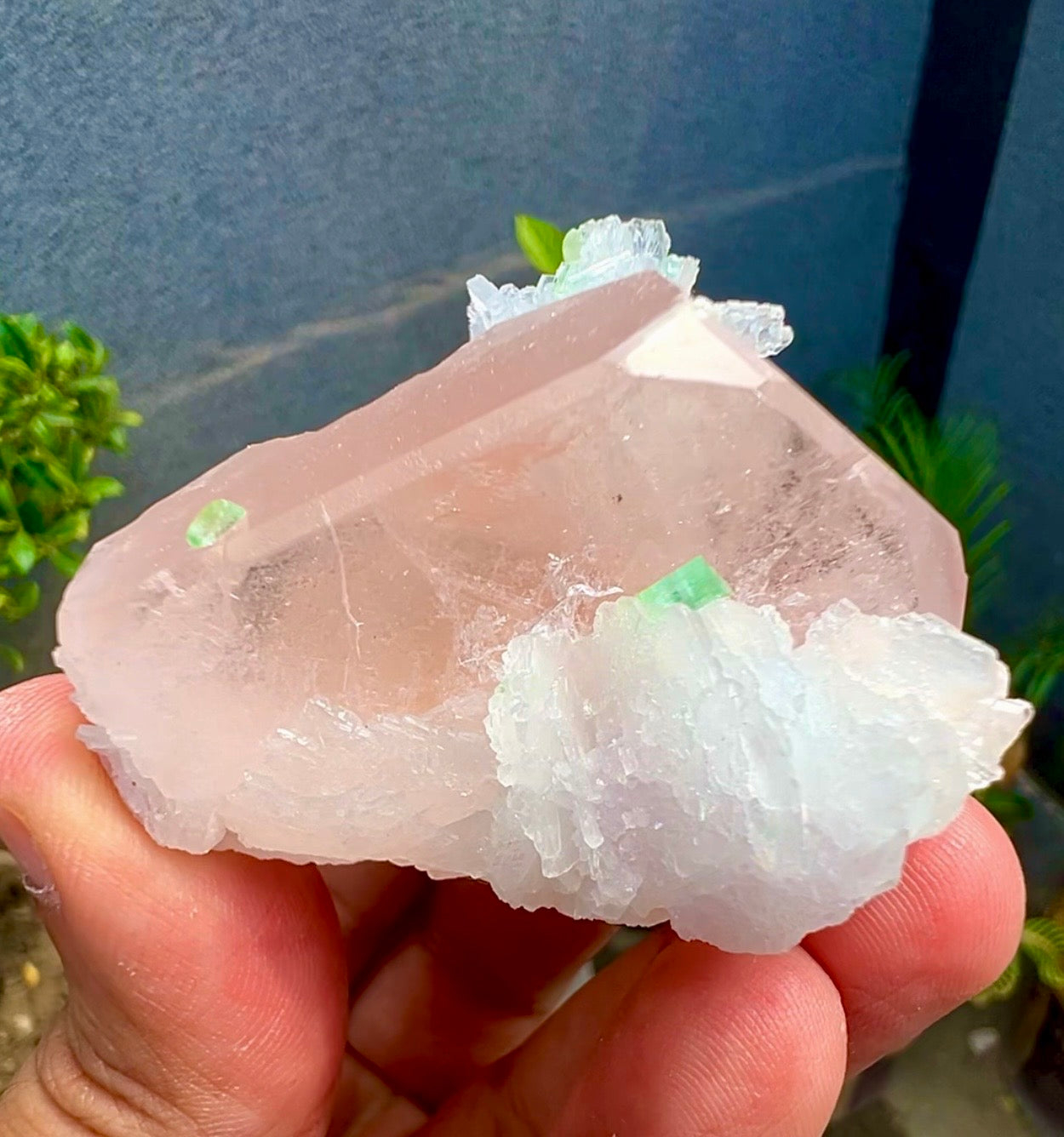 Peach Pink Morganite with Tourmaline and Albite from Afghanistan - 74 Grams