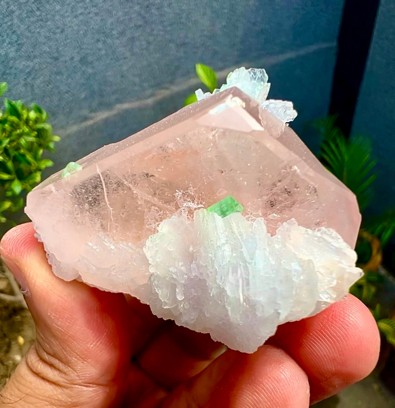 Peach Pink Morganite with Tourmaline and Albite from Afghanistan - 74 Grams
