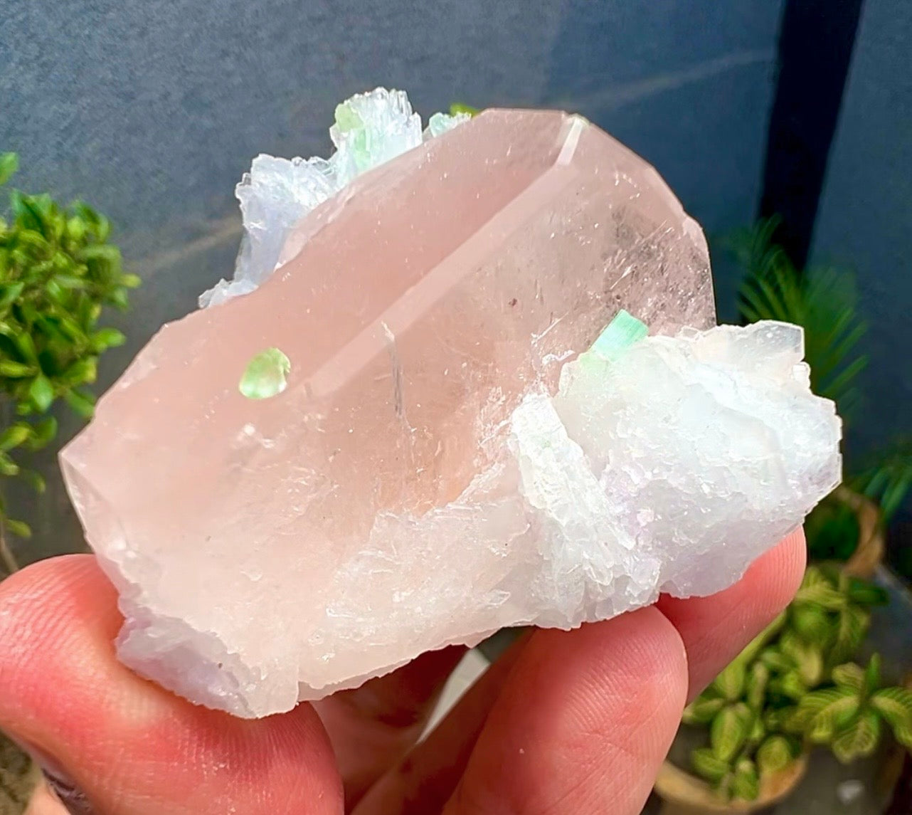 Peach Pink Morganite with Tourmaline and Albite from Afghanistan - 74 Grams