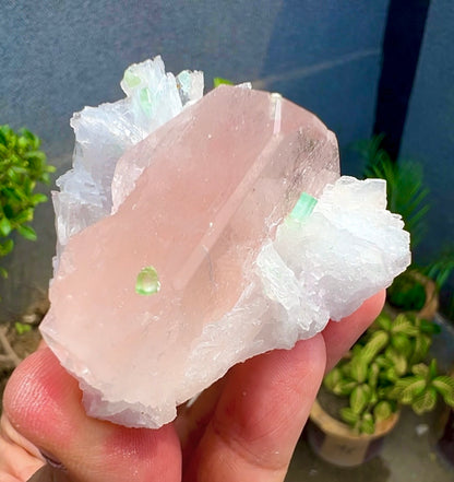 Peach Pink Morganite with Tourmaline and Albite from Afghanistan - 74 Grams