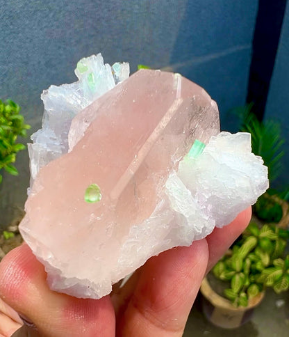 Peach Pink Morganite with Tourmaline and Albite from Afghanistan - 74 Grams