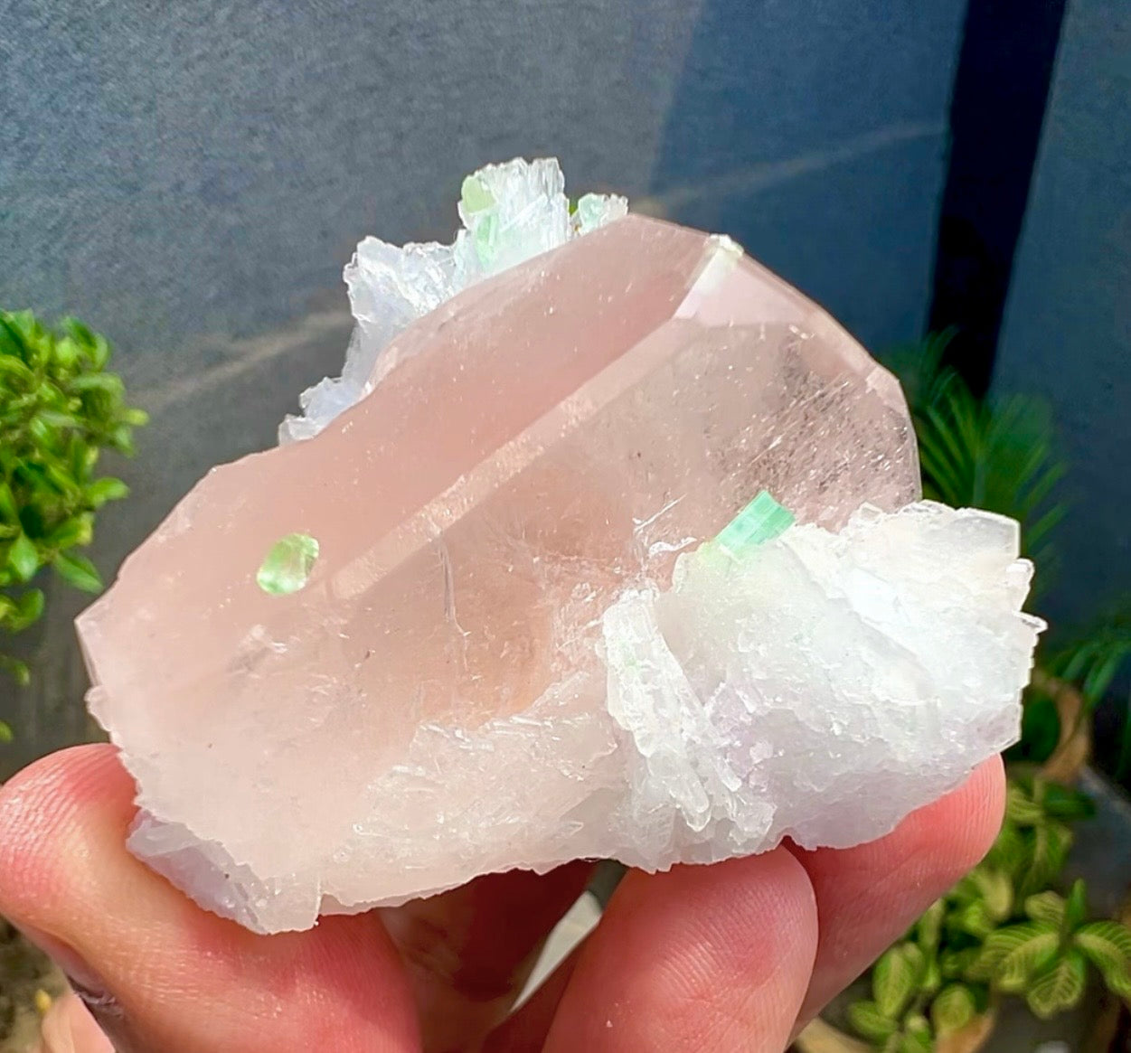 Peach Pink Morganite with Tourmaline and Albite from Afghanistan - 74 Grams