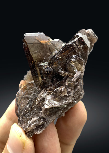 Natural Axinite Cluster from Skardu Pakistan - 43 gram