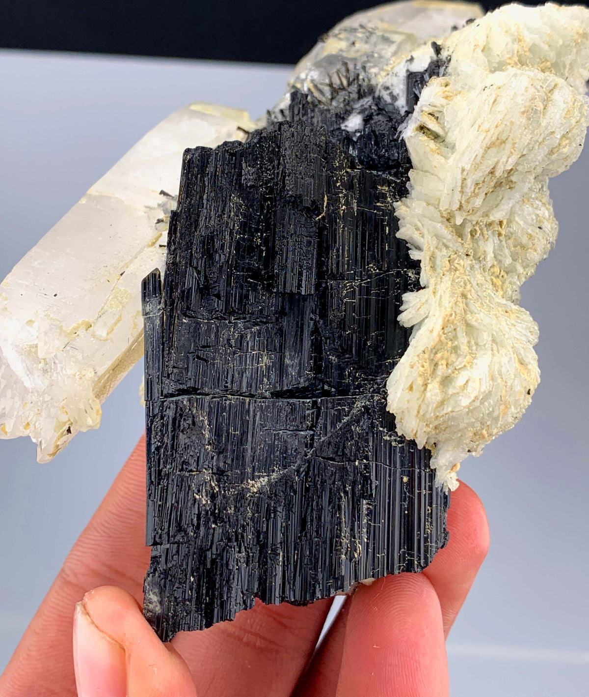 Schorl Black Tourmaline Crystal On Quartz And Albite From Afghanistan - 292 Grams