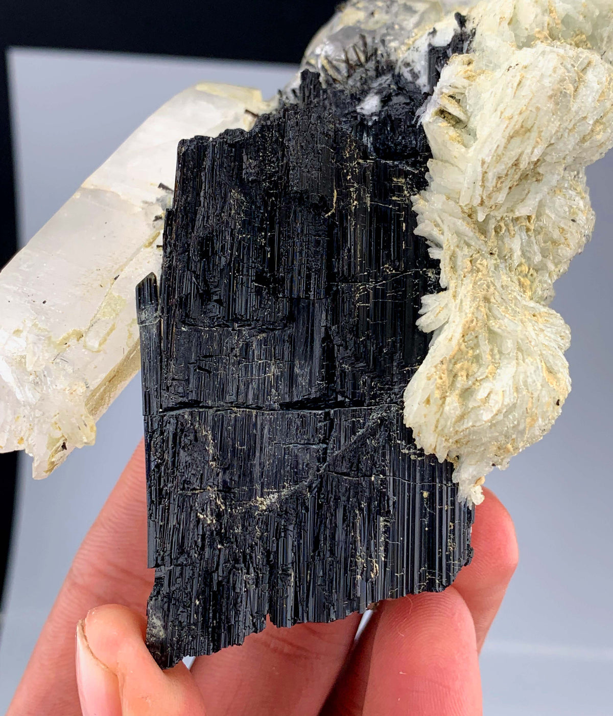 Schorl Black Tourmaline Crystal On Quartz And Albite From Afghanistan - 292 Grams