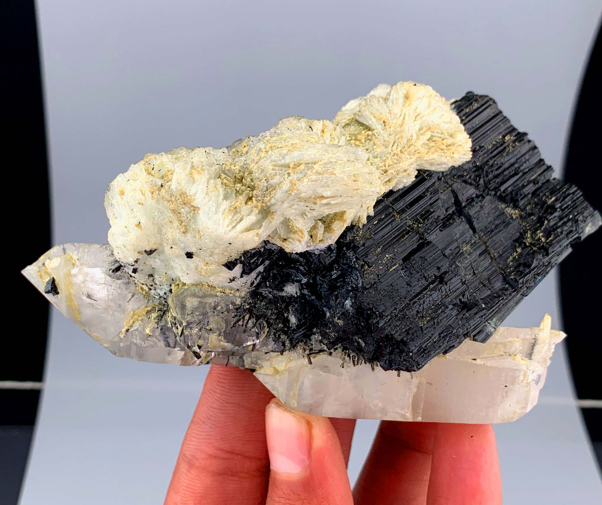 Schorl Black Tourmaline Crystal On Quartz And Albite From Afghanistan - 292 Grams