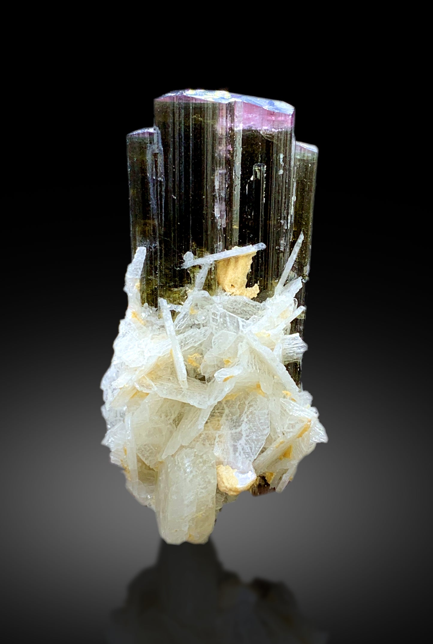 Natural Tricolor Tourmaline with Cleavelandite Albite from Pakistan - 34 gram