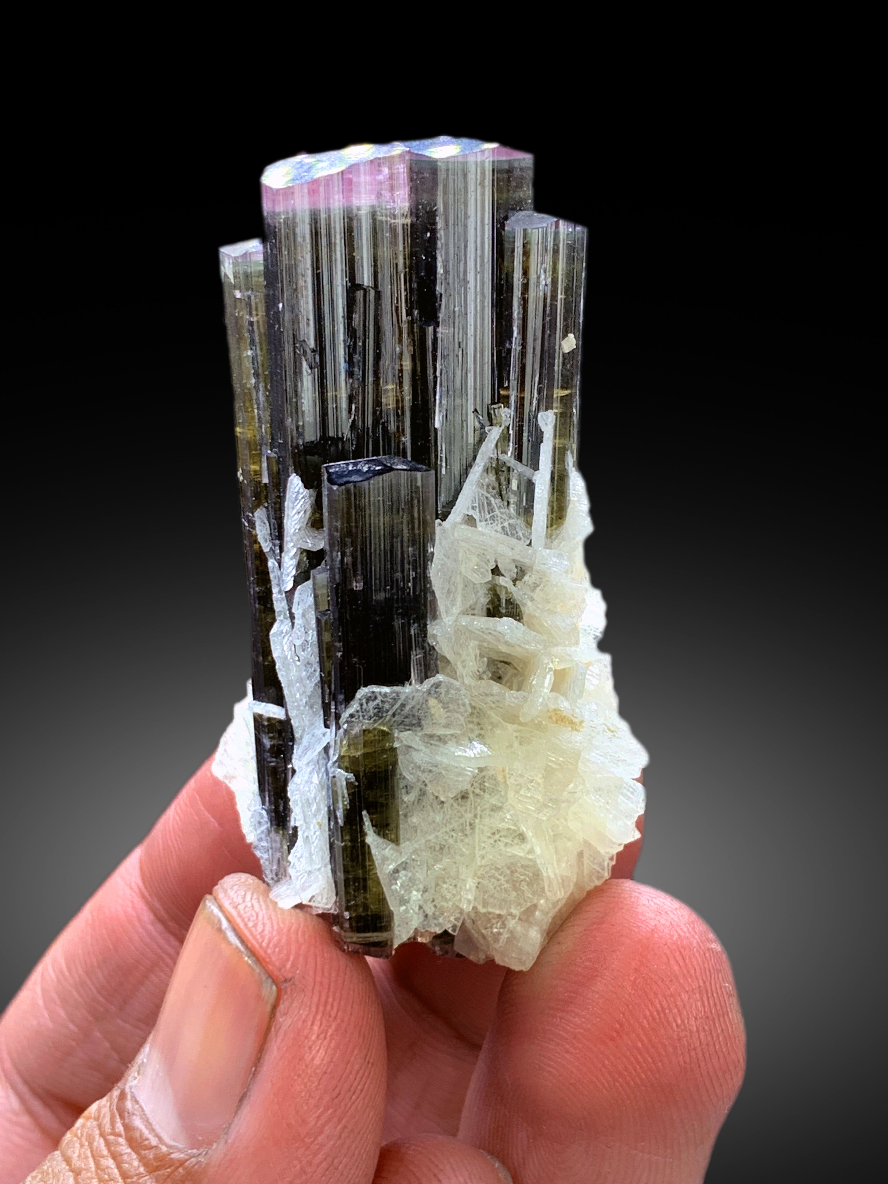 Natural Tricolor Tourmaline with Cleavelandite Albite from Pakistan - 34 gram