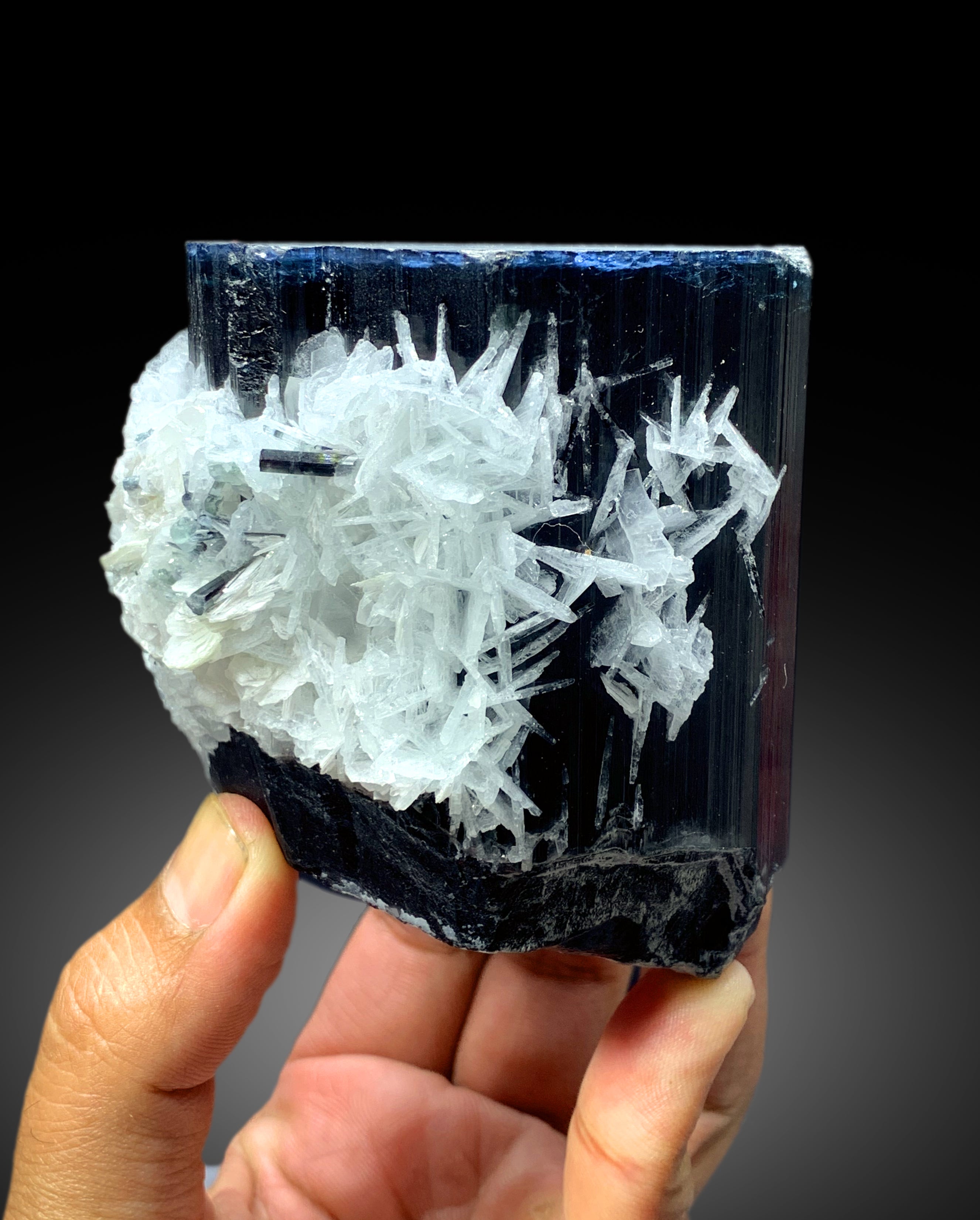 Blue Cap Tourmaline Crystal with Cleavelandite Albite from Paprok Afghanistan - 1055 gram