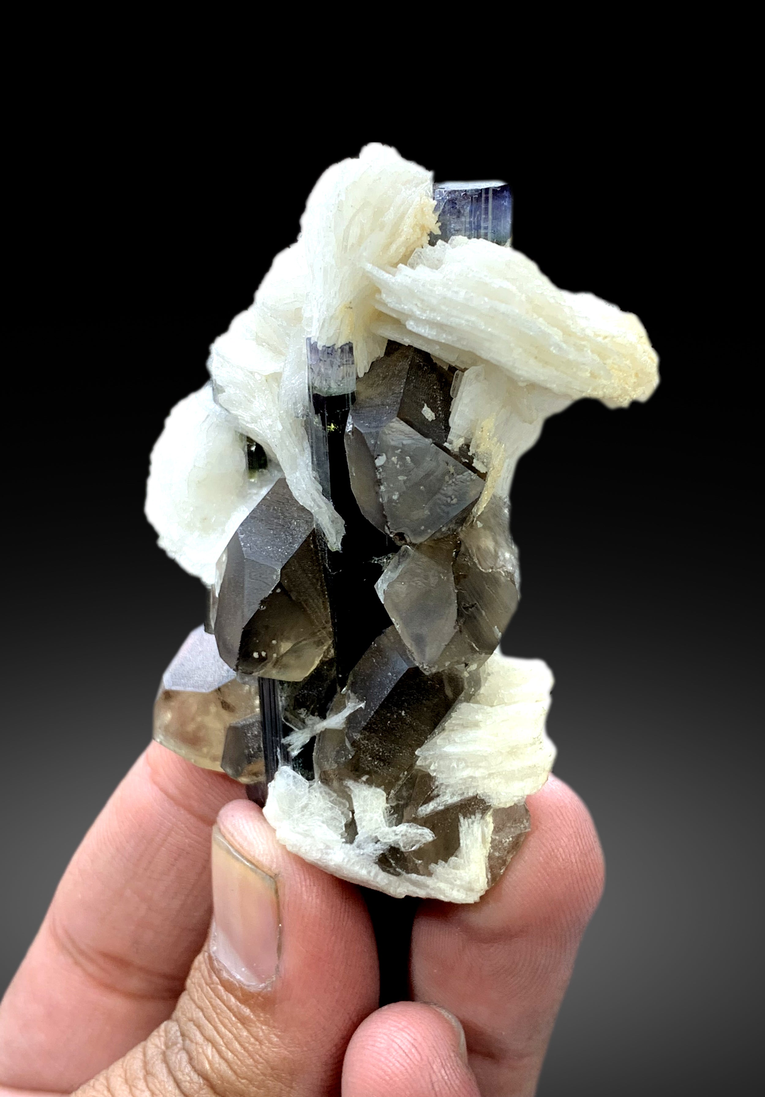 Blue Cap Tourmaline with Smoky Quartz and Cleavelandite Albite from Paprok Afghanistan - 98 gram