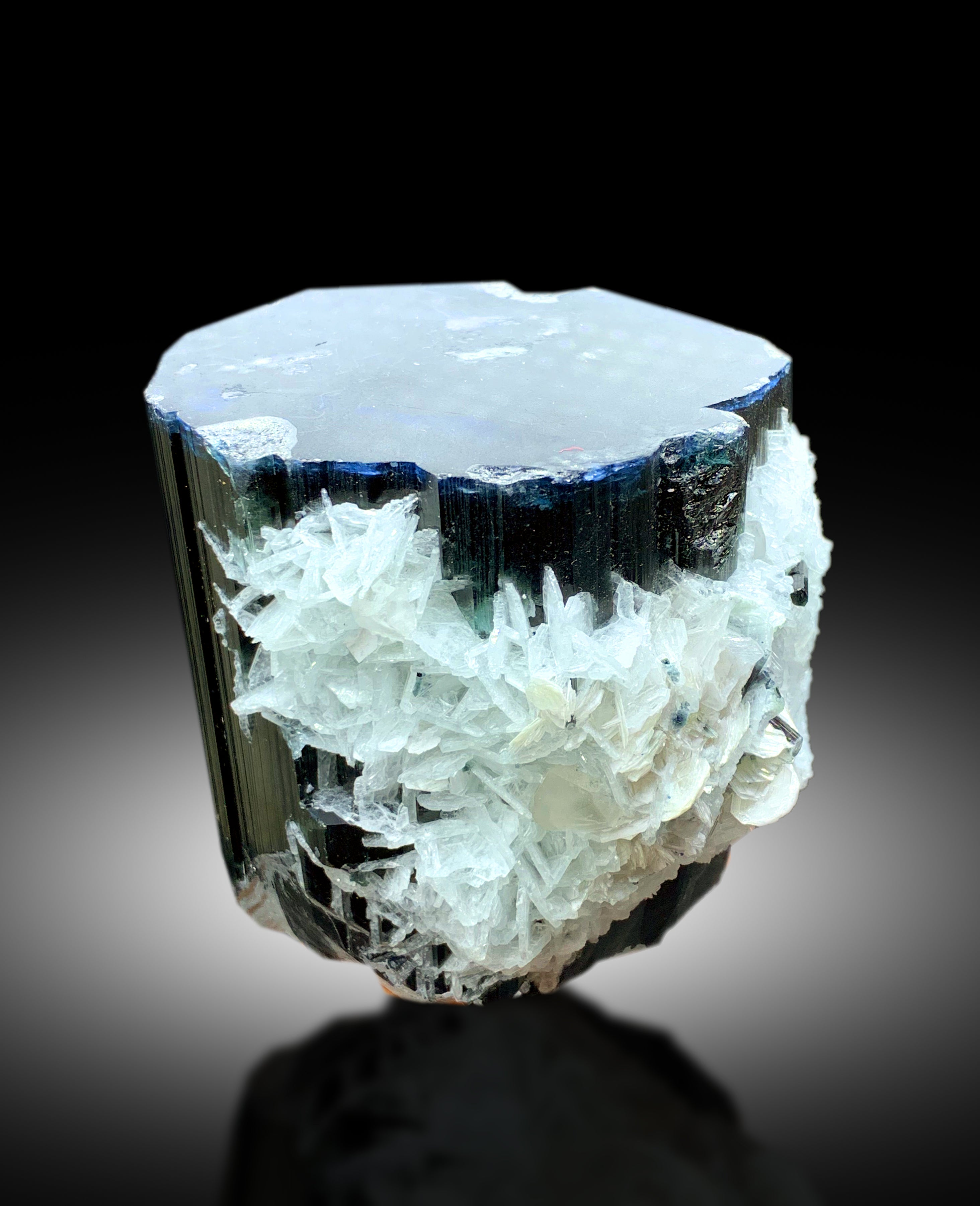 Blue Cap Tourmaline Crystal with Cleavelandite Albite from Paprok Afghanistan - 1055 gram