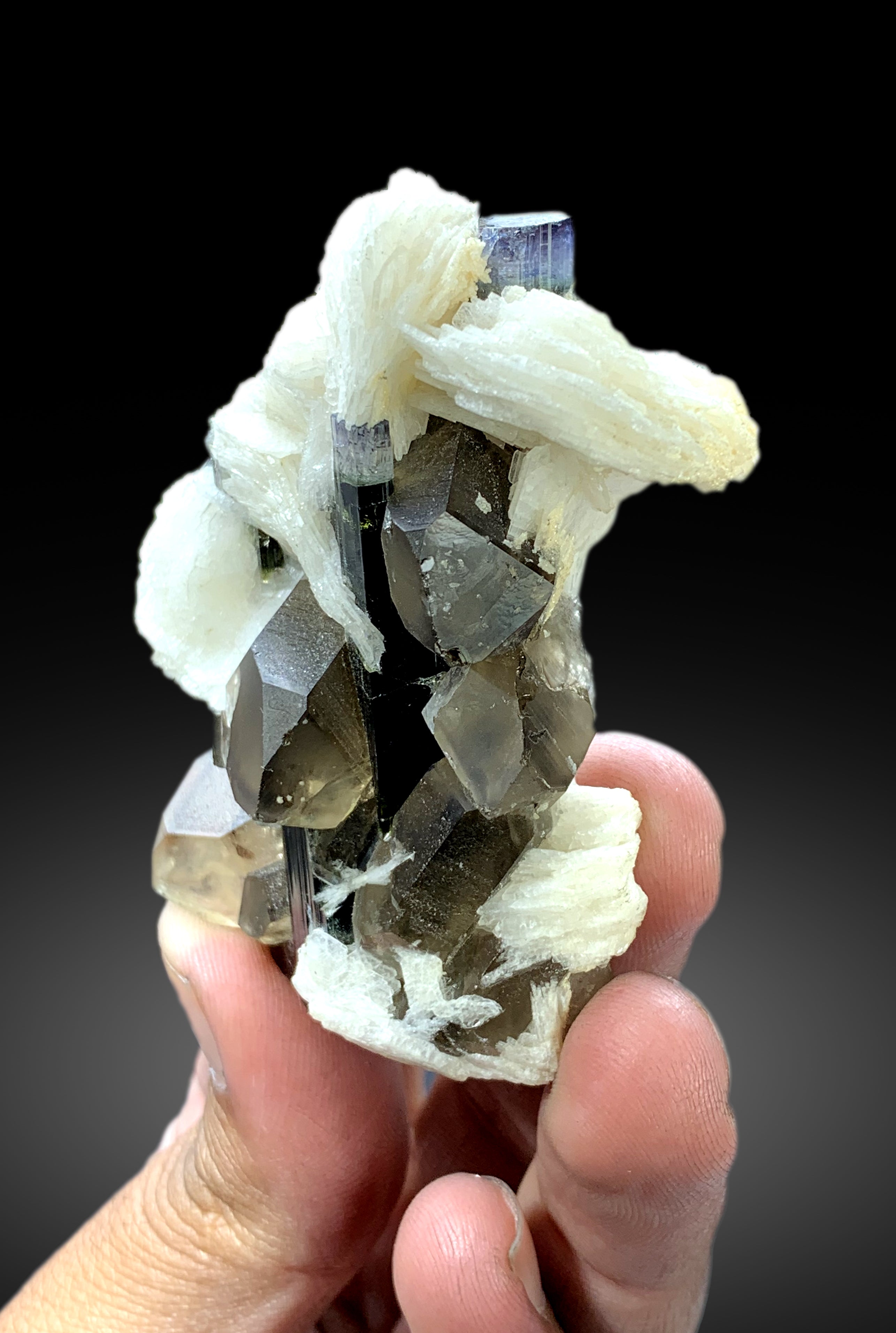 Blue Cap Tourmaline with Smoky Quartz and Cleavelandite Albite from Paprok Afghanistan - 98 gram