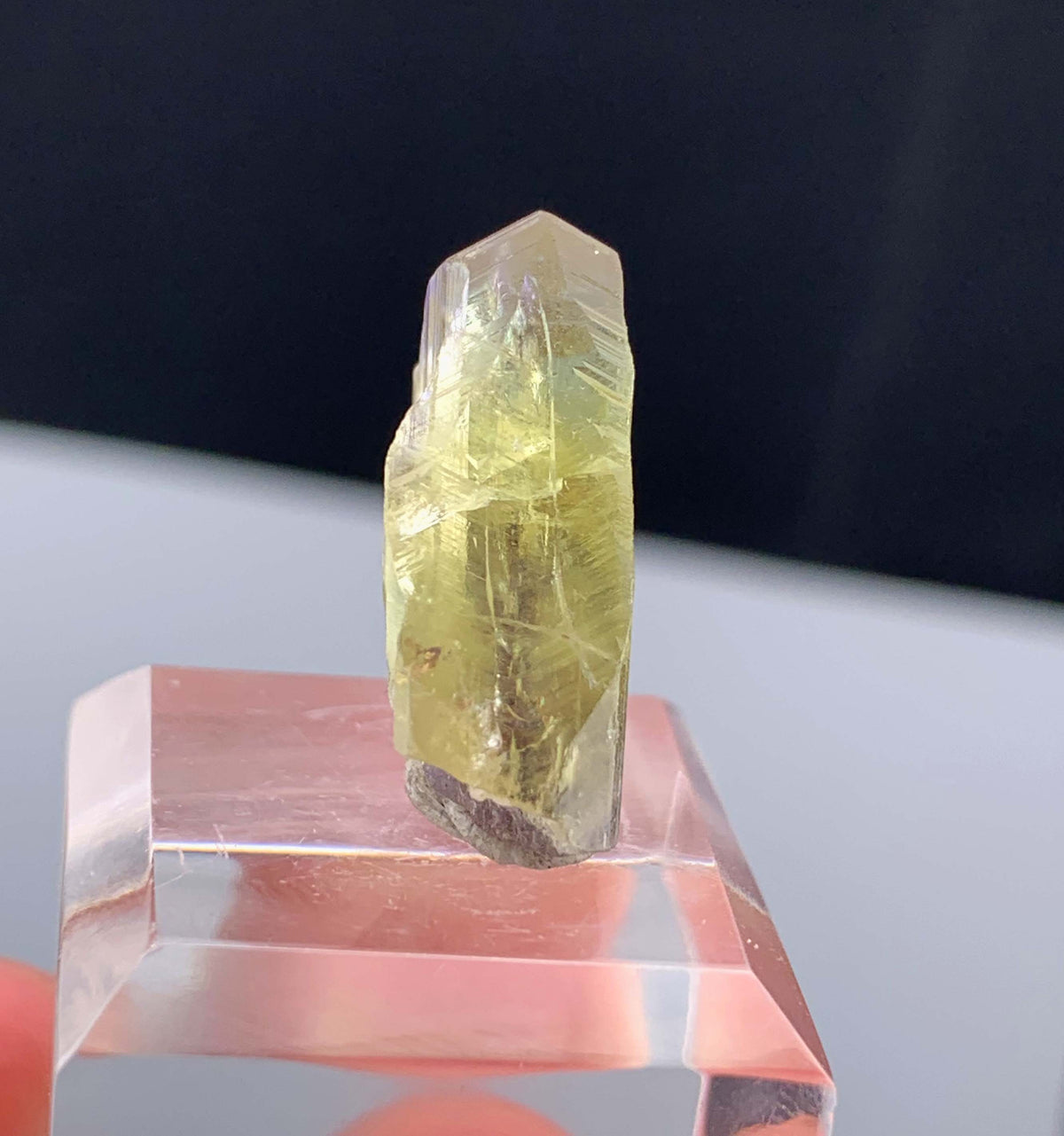 Natural Bicolor Tanzanite Crystal From Tanzania - 18.85 Carats