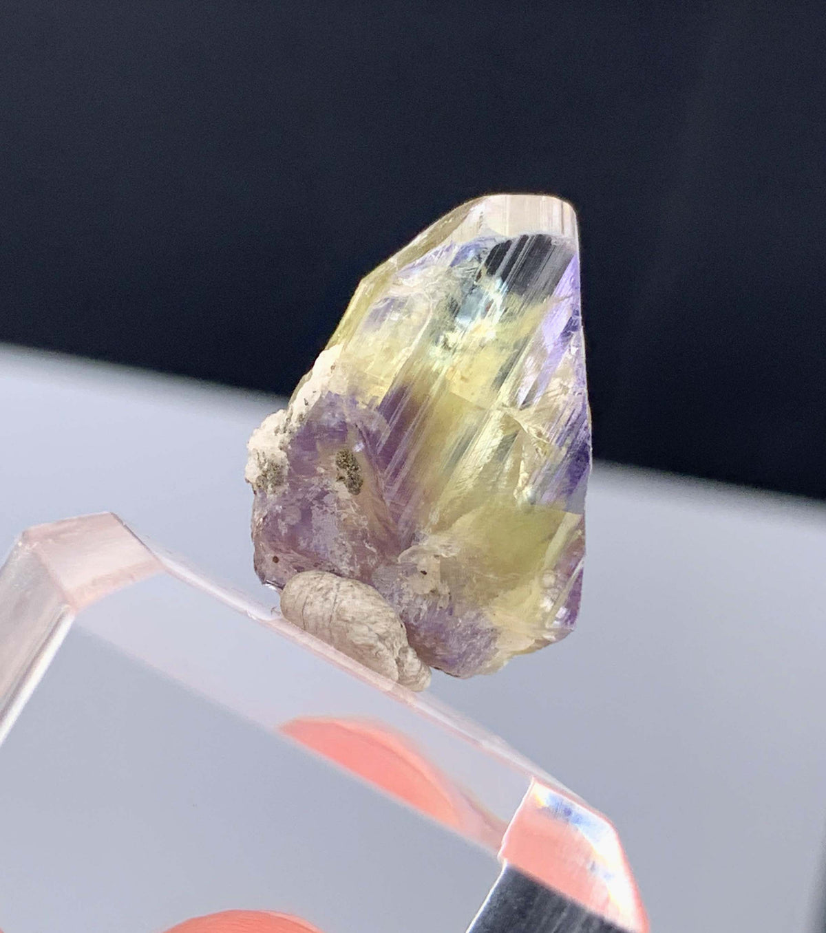 Natural Bicolor Tanzanite Crystal From Tanzania - 18.85 Carats