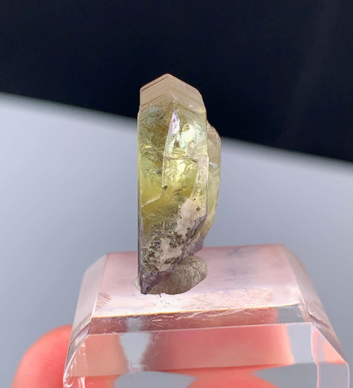 Natural Bicolor Tanzanite Crystal From Tanzania - 18.85 Carats
