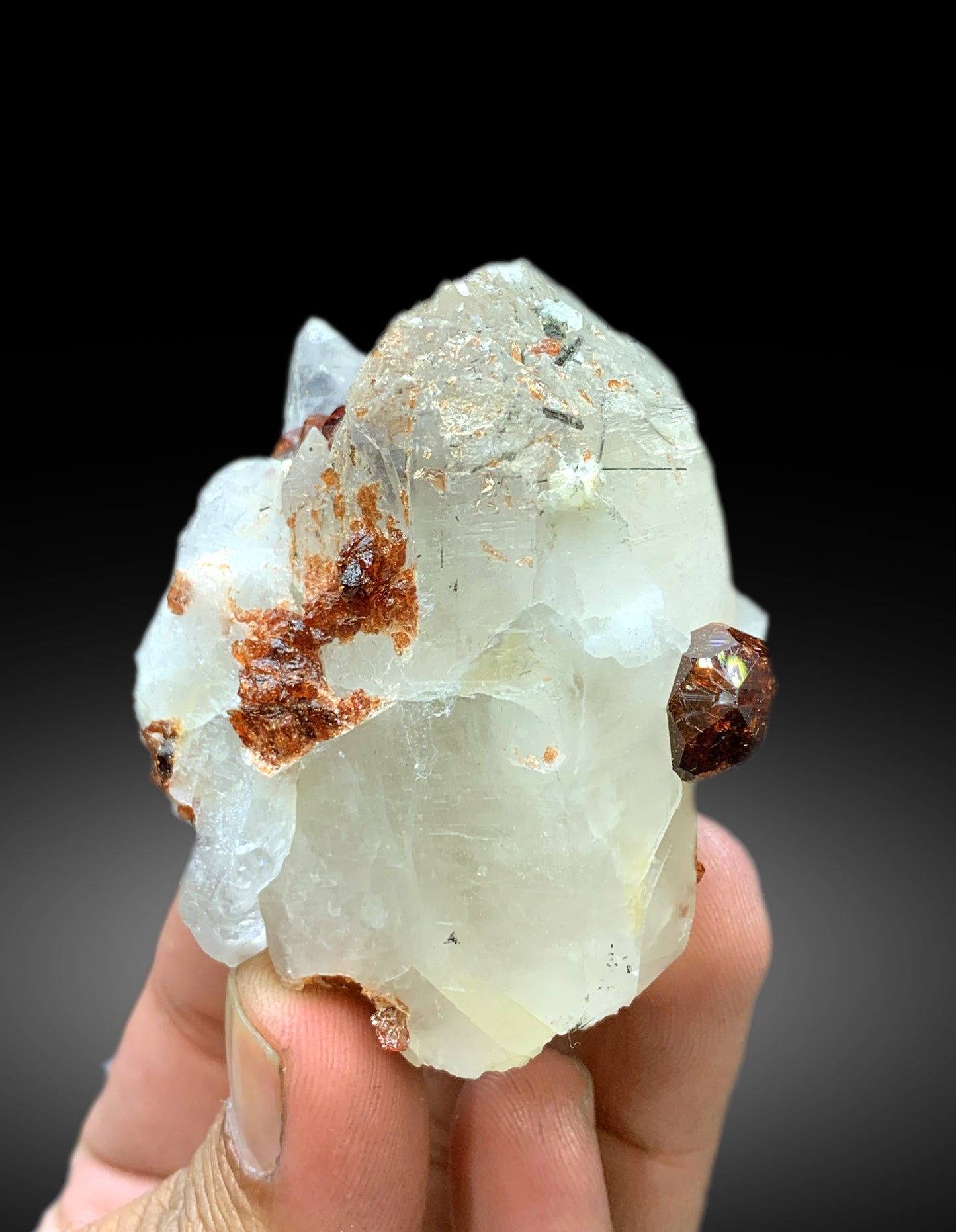 Natural Red Garnet Crystals on Quartz from Pakistan - 128 gram