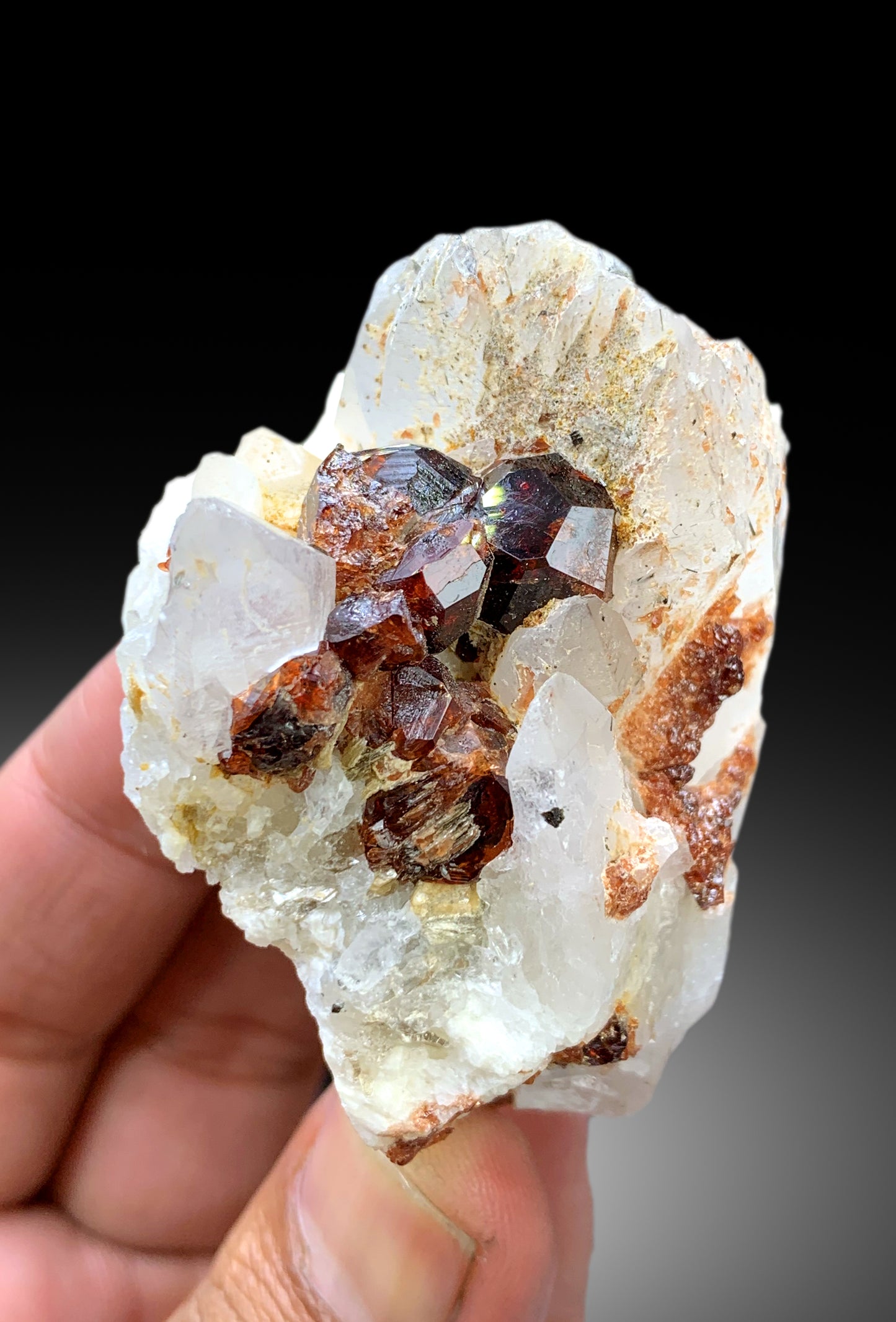 Natural Red Garnet Crystals on Quartz from Pakistan - 128 gram
