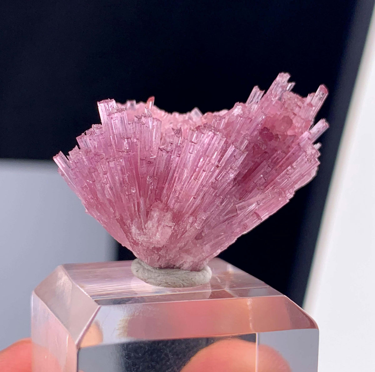 Bi-Color Cotton Candy Tourmaline Cluster From Afghanistan - 41.65 Carats