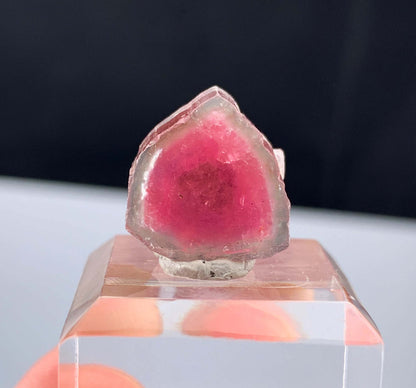 Watermelon Tourmaline Slice from Afghanistan - 14.35 Carats