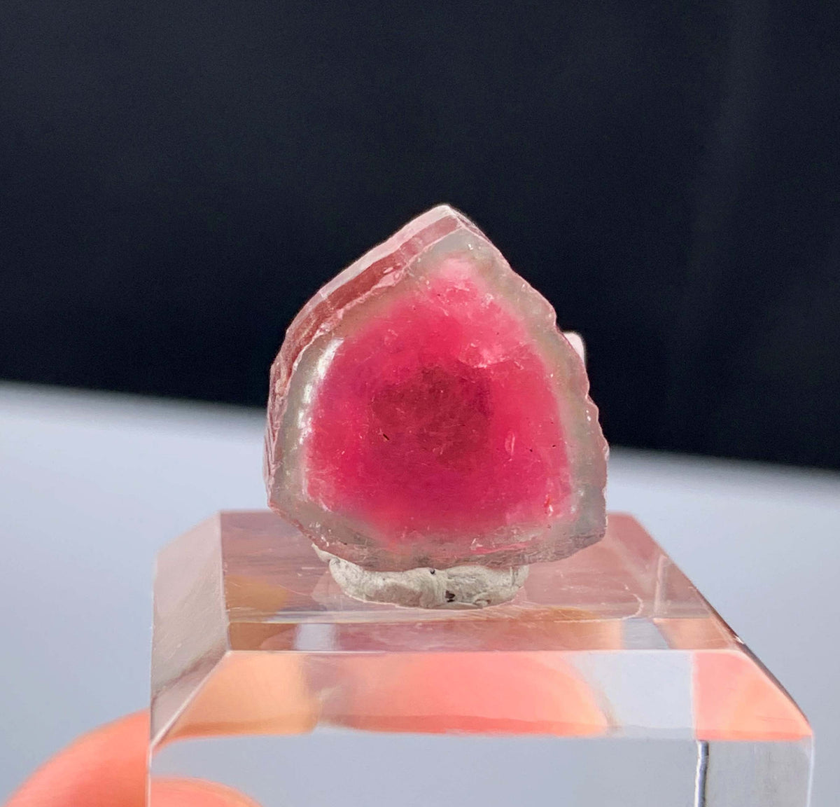 Watermelon Tourmaline Slice from Afghanistan - 14.35 Carats